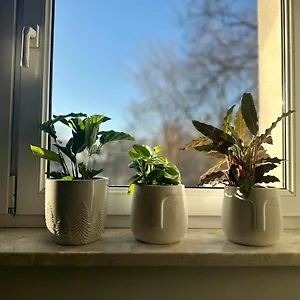 Apartament Smart, Warszawa